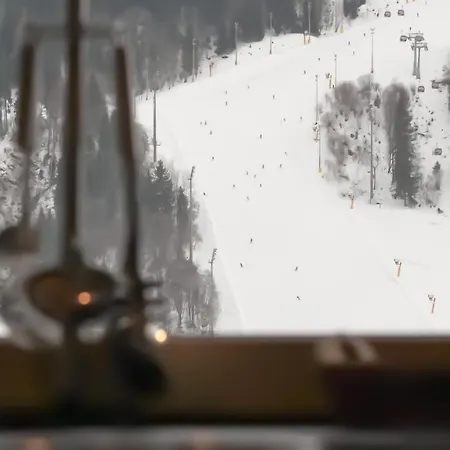 Sun Side By Schladming-appartements سخلادميخ