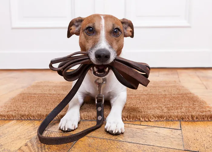 Апартаменти Sun Side By Schladming-appartements *